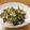 おいくちゃん1207's cooksnap of when they made バター醤油で☆きのこたっぷりホットサラダ.