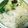 クックPAM48X☆'s cooksnap of when they made 鶏肉団子のキムチ鍋.