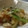 さやぴ7's cooksnap of when they made スイカの皮の簡単中華炒め (動画アリ).