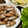 ruoka54's cooksnap of when they made 簡単☆甘辛ごぼうの唐揚げ.