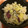 yunatan1211's cooksnap of when they made さつま芋の簡単炊き込みごはん.