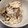 ルナＰボール's cooksnap of when they made 基本の和食♪白和え　解説つき.