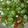 mai10200's cooksnap of when they made オクラとイクラの和え物♡.