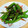 さっちゃま＾＾'s cooksnap of when they made ＊ししとうのシンプル焼き＊おかか醤油♪.