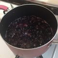 RyoHonya's cooksnap of when they made 種・皮ごと！簡単☆ブドウジュース.