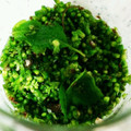☆大ちゃんママ☆'s cooksnap of when they made しその実の塩漬け.