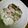 クック3D63YZ☆'s cooksnap of when they made 超簡単、きゅうりツナのマヨネーズ和え.