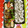 ◆◇Wtiti＊◇◆'s cooksnap of when they made ししとう甘辛炒め！.