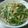 meikaiママ's cooksnap of when they made 鶏肉ホウレン草オイスターニンニクあんかけ.