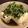 かな☆'s cooksnap of when they made 水菜とじゃこのゴマ和え.