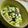 kichicoron's cooksnap of when they made ひじきとツナのマヨサラダレモン風味.