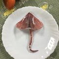 yuminan47k's cooksnap of when they made *イカで傘*.