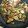 クックUPFDDQ☆'s cooksnap of when they made 茄子とキノコの味噌炒め.