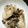 とと郎's cooksnap of when they made 牡蠣の山椒煮.
