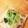 二角形's cooksnap of when they made しらたきと水菜の酢のもの.