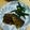 クック8L9A85☆'s cooksnap of when they made 塩さばのごま味噌焼き.