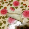 Yokchina's cooksnap of when they made 〜簡単〜 餃子の包み方 その2.