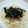 ねここfm's cooksnap of when they made なめ茸うどん.