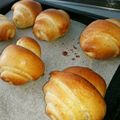 オムとヤマト's cooksnap of when they made 健康志向‼全粒粉入り甘酒ロールパン.