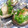 ふみか's cooksnap of when they made ジュ～スィ～♪椎茸のネギごま塩焼き.