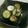 ナリンV8VV8T☆'s cooksnap of when they made きゅうりのキューちゃん漬け.