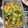 クック5ACS0R☆'s cooksnap of when they made 早い！簡単！安い！ウマイ！モヤシのナムル.