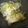 クックUPFDDQ☆'s cooksnap of when they made 白菜消費に♪　和風スープＤＥ白菜ロール.