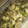 もりのりころ's cooksnap of when they made ごぼうと水菜の卵とじ.