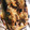 クック4AJM9F☆'s cooksnap of when they made 鮭のマヨネーズ焼き.