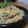 ダイナマイト漆黒's cooksnap of when they made フレッシュバジルのパスタ（ハバネロ入り）.