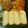 max4995's cooksnap of when they made お店のような！ふんわりトロッ！卵焼き☆.