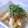watyami's cooksnap of when they made とっても簡単和風ペンネ.