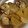 夕飯は６時です's cooksnap of when they made 大根と手羽先の煮物.