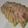クック5AGNXQ☆'s cooksnap of when they made ローストポーク　炊飯器.