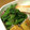 えつおくん's cooksnap of when they made お弁当♬小松菜としし唐のオイスター炒め.