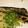 ダッフィーニーうに's cooksnap of when they made 秋味☆さんまの塩焼きの焼き方.