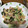 ＊うみぼー＊'s cooksnap of when they made 体菜（タイナ）とえびの塩炒め.