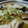 こぶたちゃんGOGO's cooksnap of when they made 簡単！塩鯖と豆腐DE和風アヒージョ♪.