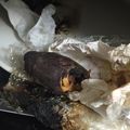 クックZCSF3F☆'s cooksnap of when they made 新提案レンジ蒸し芋♪にはマヨネーズ！.
