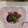 apronママ's cooksnap of when they made お食い初め～筑前煮～.