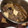 大王イカ's cooksnap of when they made すき焼き風煮.