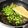 smileve's cooksnap of when they made 枝豆じゃこご飯.