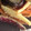 クマたぬき's cooksnap of when they made さつま芋と人参の塩きんぴら♪.