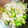 クックN4XAE2☆'s cooksnap of when they made 簡単低価格砂ずりスライスの酢物.