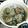 myとんすけ's cooksnap of when they made あさりの下準備.