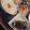 pomponn's cooksnap of when they made お家フレンチ☆豚肩ロースのプルーン煮.