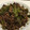 クックYAI28E☆'s cooksnap of when they made 簡単☆牛肉とししとうの甘辛煮.