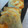 クック5N6VZL☆'s cooksnap of when they made しゅうまいの皮でおつまみ♪.
