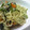 うりんうりん's cooksnap of when they made ＊黒こしょうたっぷり塩やきそば＊.