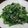 52週間's cooksnap of when they made 定番に☆ほうれん草の胡麻和え(じゃこ入り.